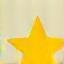 Star icon